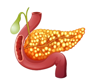 Gall  Bladder Stones Removal